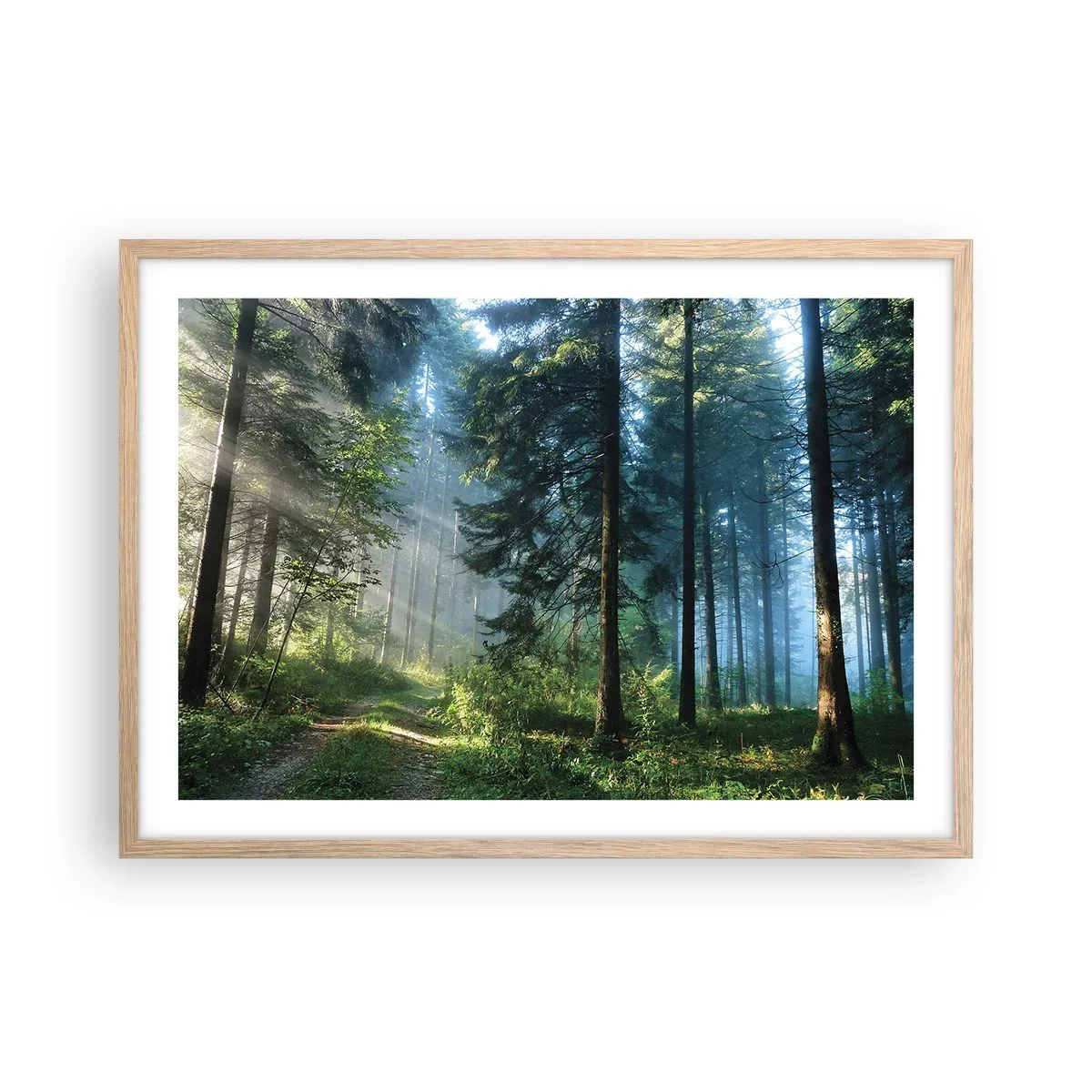 Affisch i ram av ljusek - Strålande på morgonen - 70x50 cm
