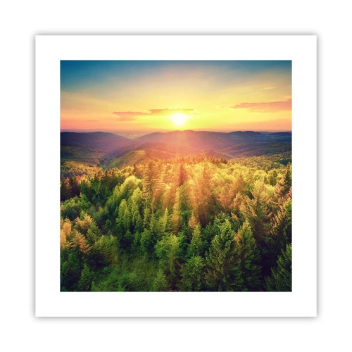 Affisch - Trädtoppar och bergstoppar - 40x40 cm