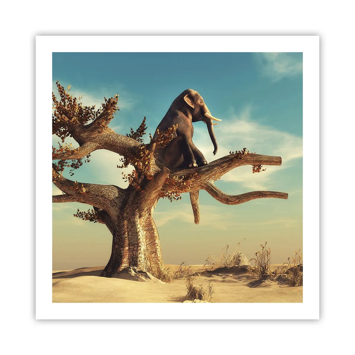 Affisch - Ny synvinkel - 60x60 cm