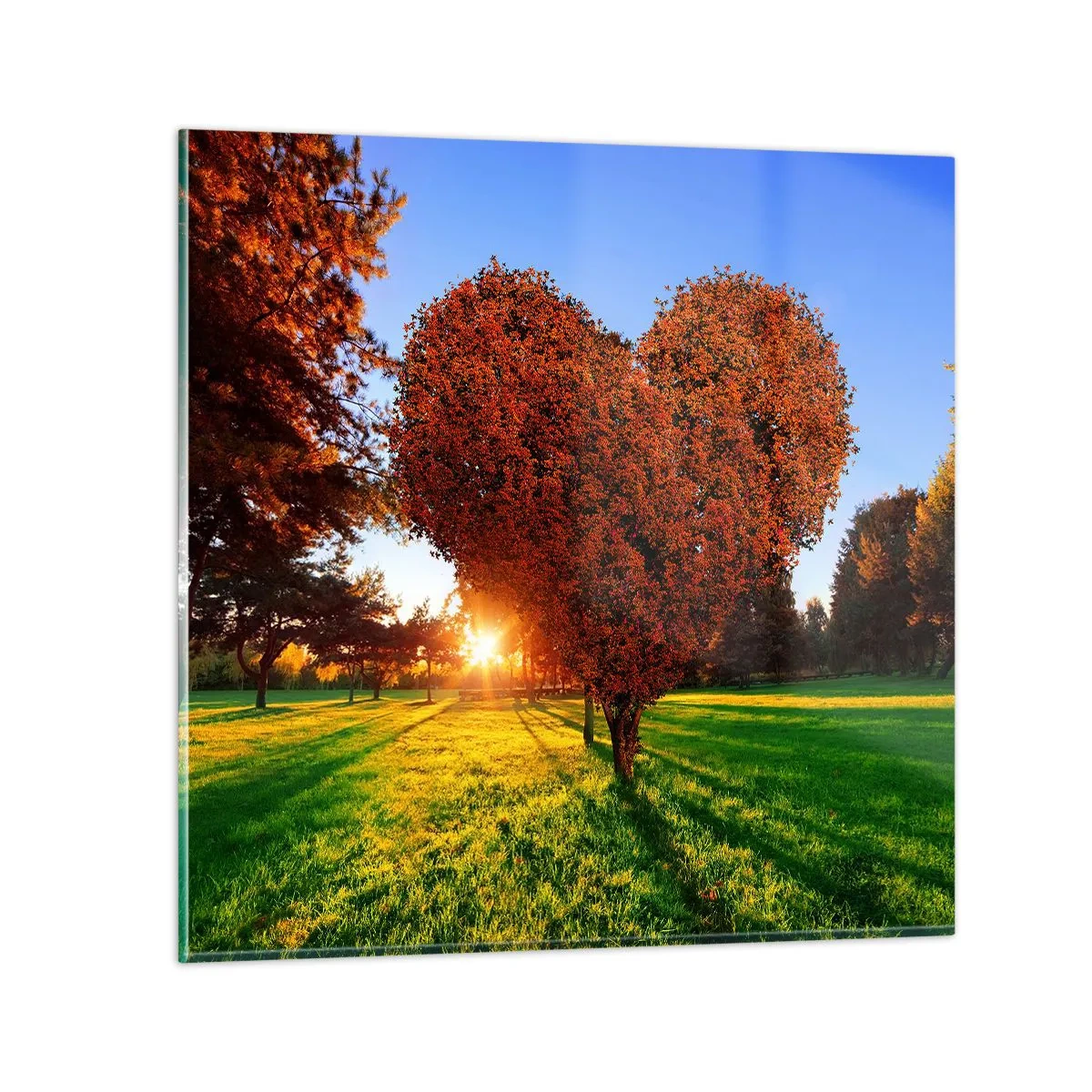 Glastavla - Bild på glas - Varför vi älskar hösten - 70x70 cm