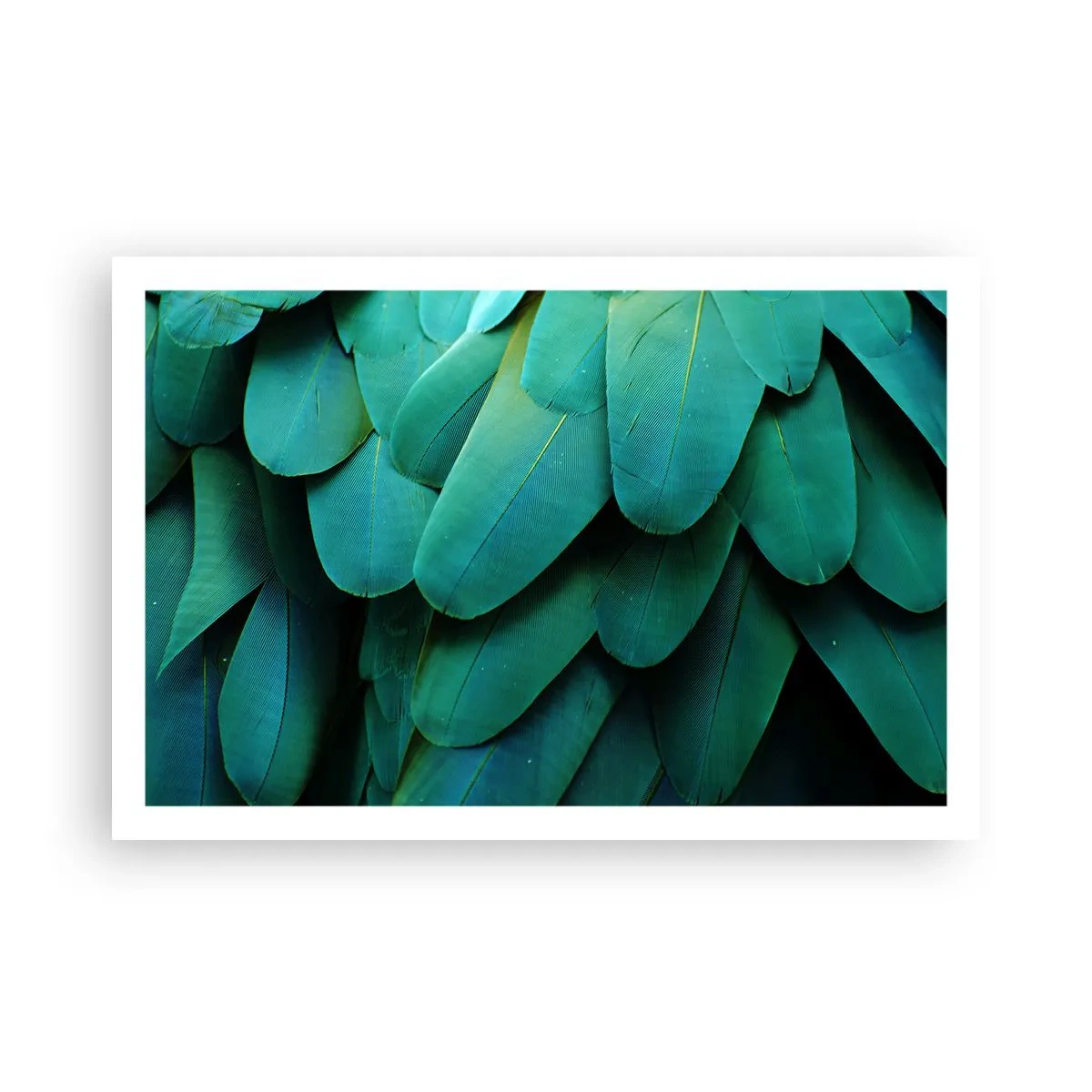 Affisch - Precision av papegojans natur - 91x61 cm
