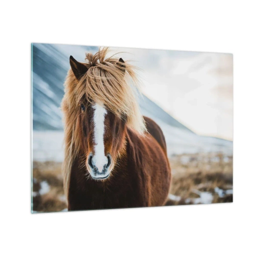 Glastavla - Bild på glas - En häst mot ett bergslandskap på vintern - 70x50cm - Känner du friheten? - Modern väggdekoration för vardagsrum och sovrum ARTTOR