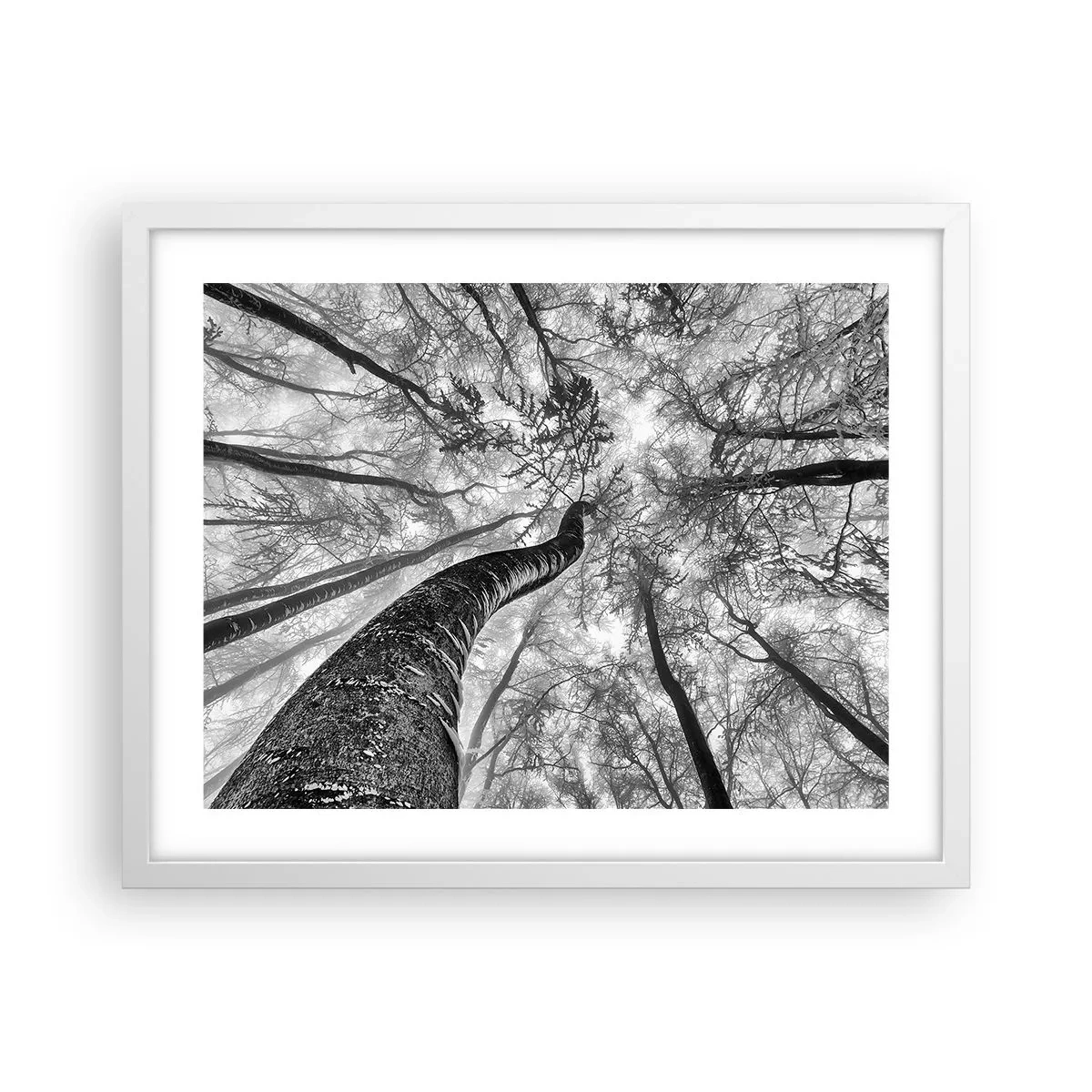 Affisch i vit ram - Kapplöpning mot ljuset - 50x40 cm