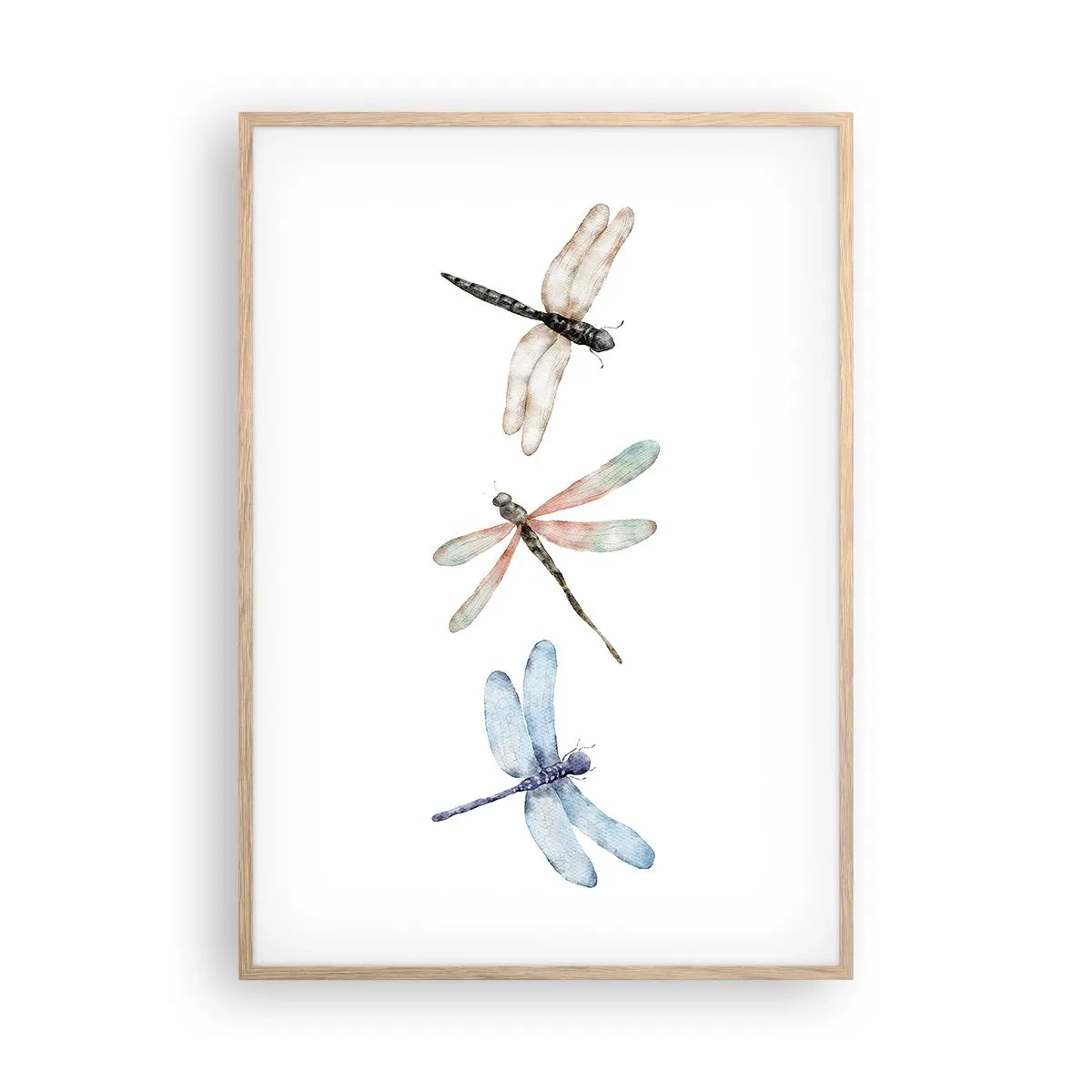 Affisch i ram av ljusek - Viktlösa trollsländor - 70x100 cm