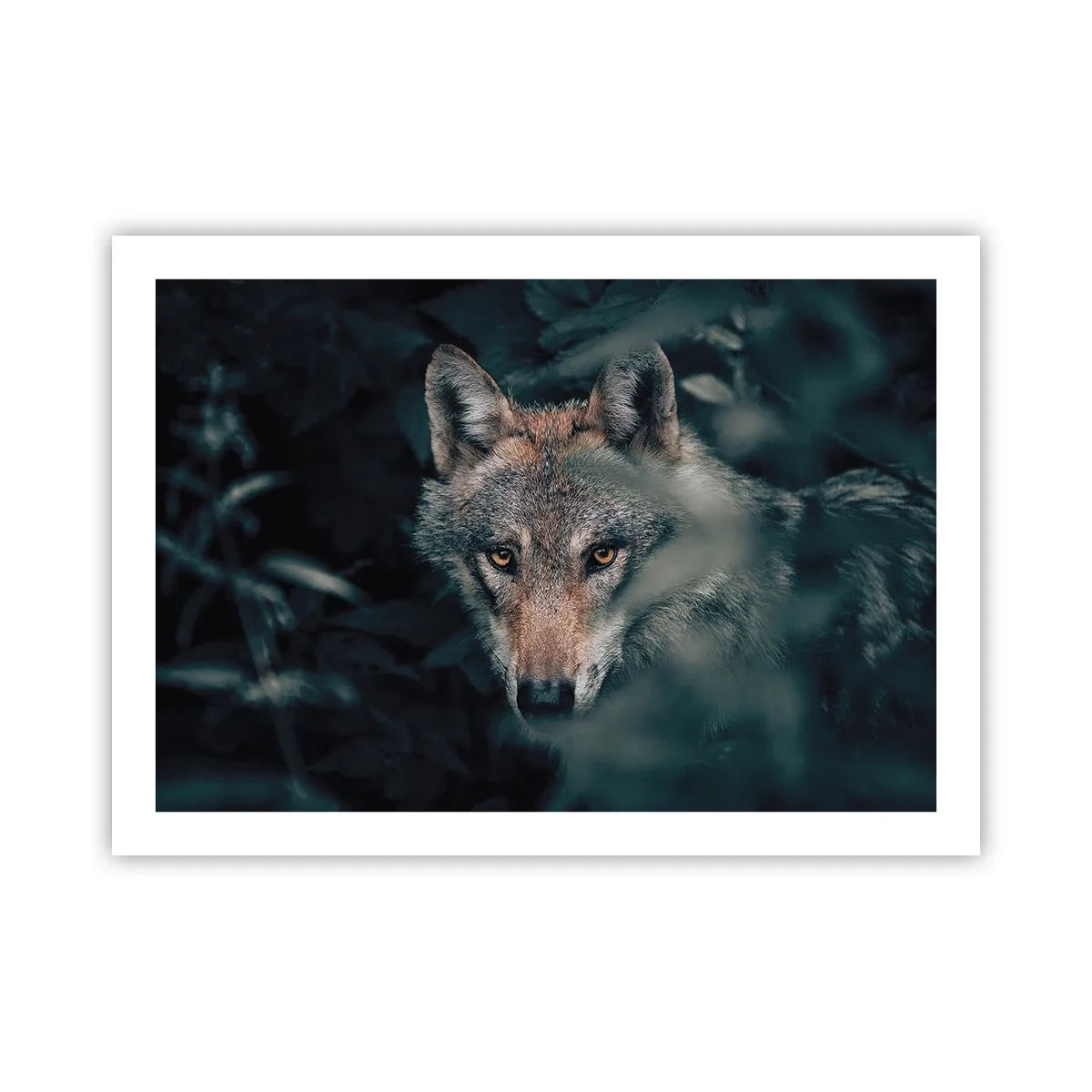 Affisch - Jägare - 70x50 cm