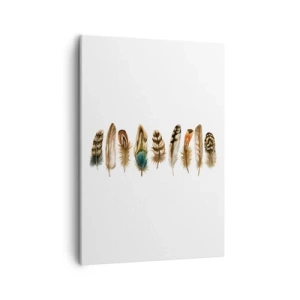 Canvastavla - Bild på duk - Fjädervariation - 50x70 cm