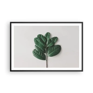 Affisch i svart ram - Själva naturens bild - 91x61 cm