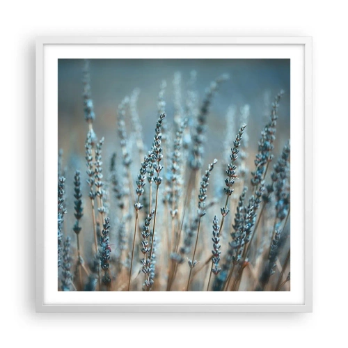 Affisch i vit ram - Doftande åkermark - 60x60 cm