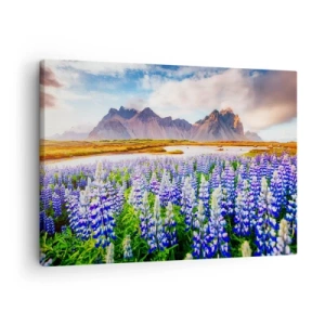 Canvastavla - Bild på duk - Blommor i ett bergslandskap med en pittoresk himmel - 70x50cm - Styrka och stränghet bredvid mildhet - Modern väggdekoration för vardagsrum och sovrum ARTTOR