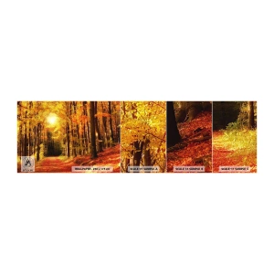 Fototapet Prov Standard Eco - Gyllene höst på en skogsväg - Höst, Skog, Landskap - 100x30 cm