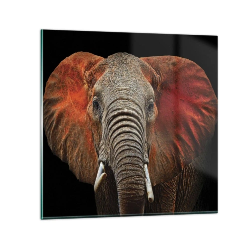 Glastavla - Bild på glas - Jag är vild, och du? - 40x40 cm