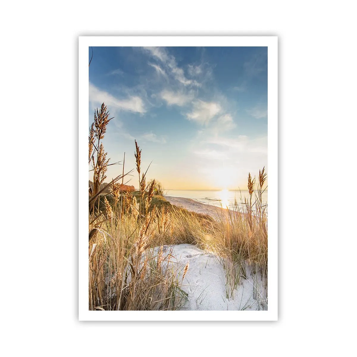 Affisch - Nordlig strand - 70x100 cm