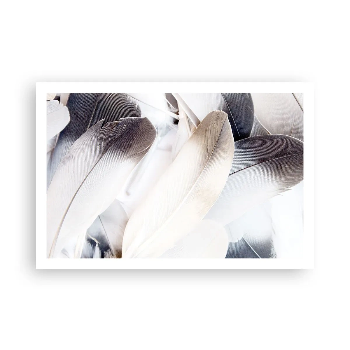 Affisch - Nästan änglalik - 91x61 cm