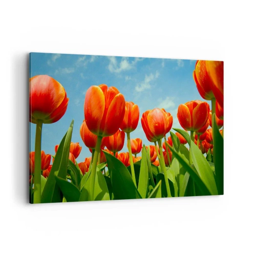 Canvastavla - Bild på duk - Förutom blå himmel behöver vi inget annat i livet - 120x80 cm