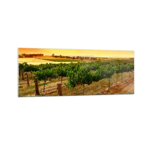 Glastavla - Bild på glas - Dricka solen - 140x50 cm