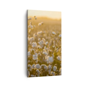 Canvastavla - Bild på duk - Fluffigt fält - 45x80 cm