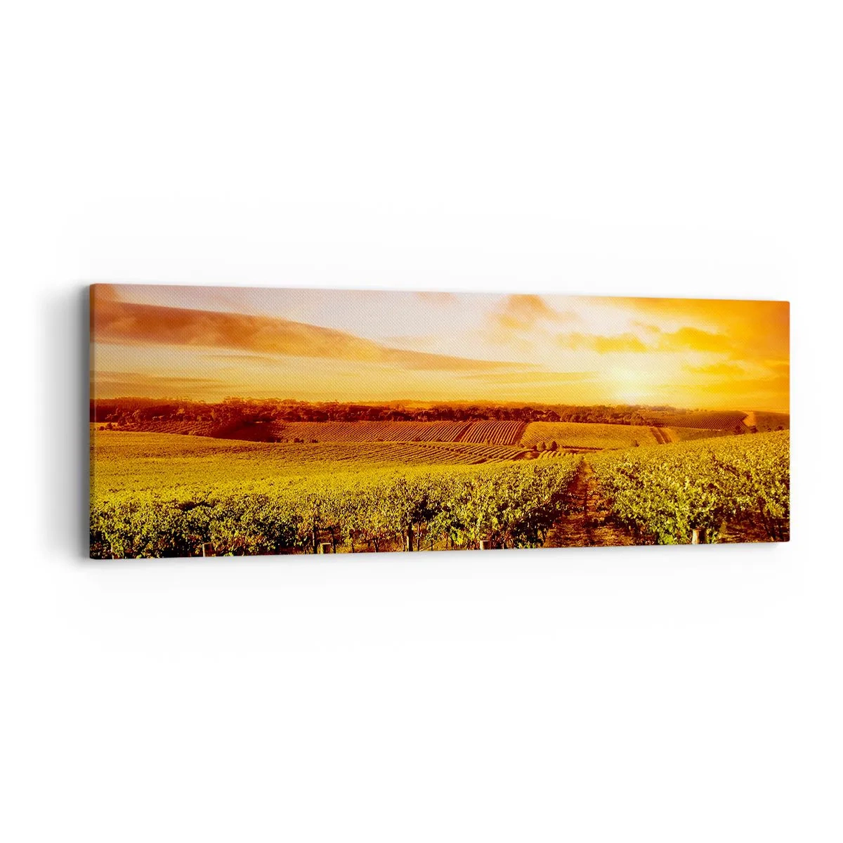 Canvastavla - Bild på duk - Fina druvor med en gnutta sol - 90x30 cm