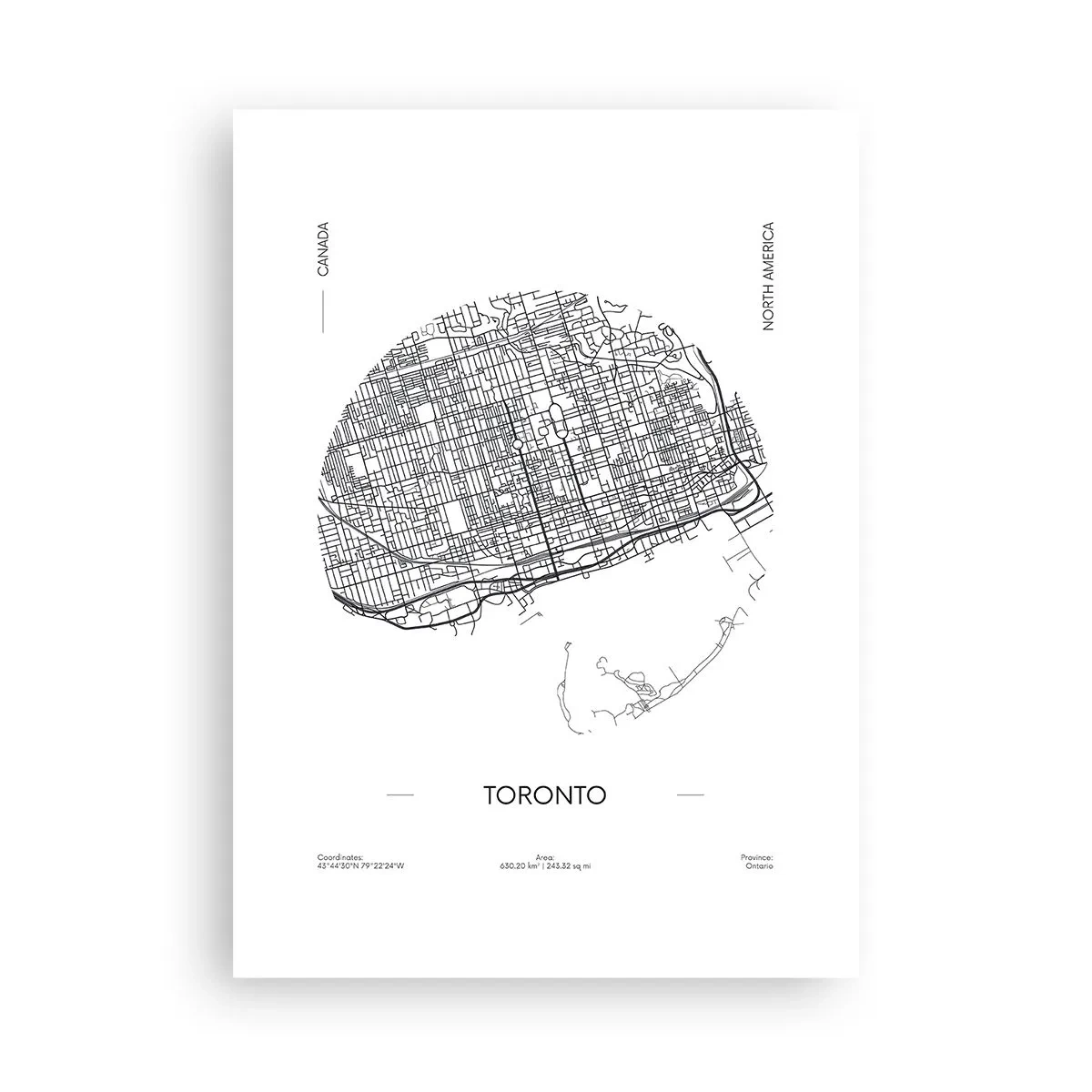 Affisch - Torontos anatomi - 50x70 cm