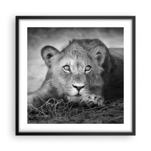 Affisch i svart ram - Kunglig valp - 50x50 cm