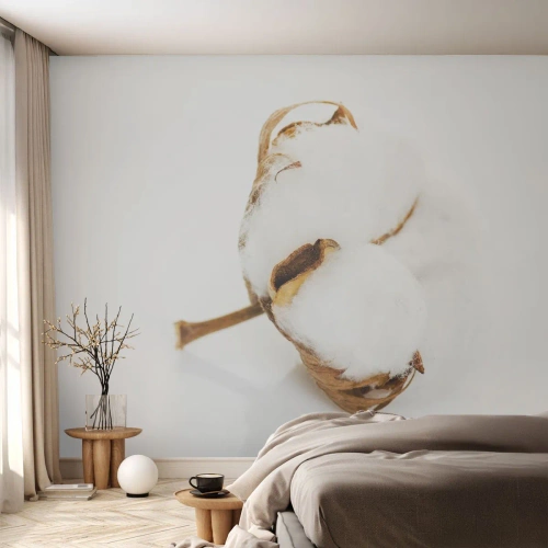 Fototapet Premium Sand - Mjuk av naturen - Bomull, Minimalistisk, Blomma - 150x105 cm