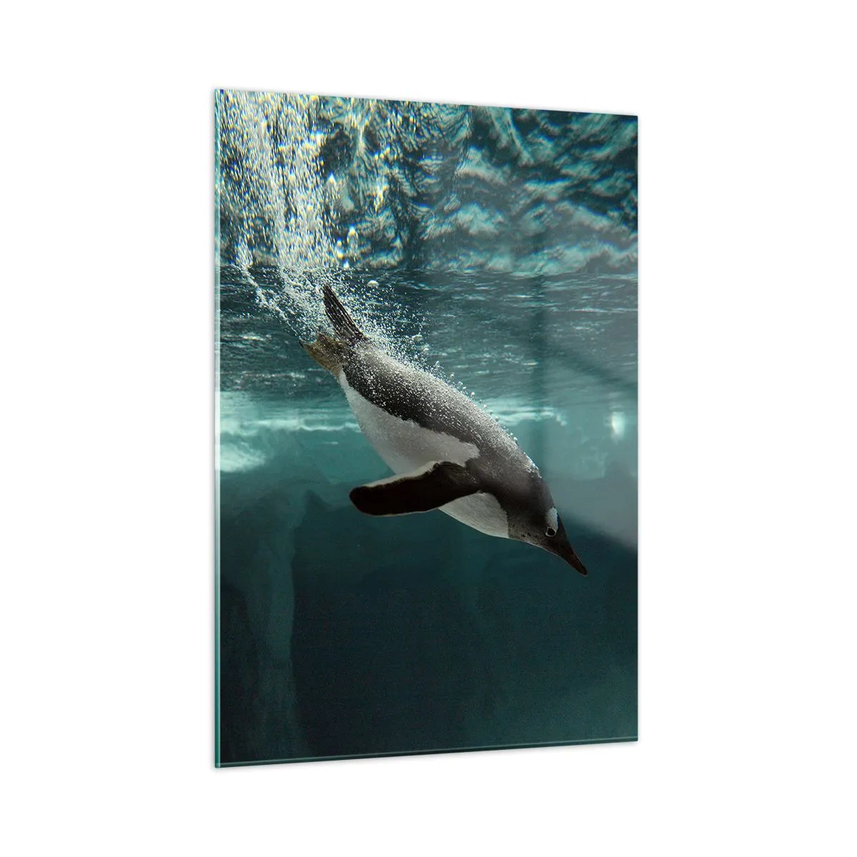 Glastavla - Bild på glas - Välkommen till min värld - 50x70 cm