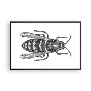 Affisch i svart ram - Från insektplaneten  - 91x61 cm