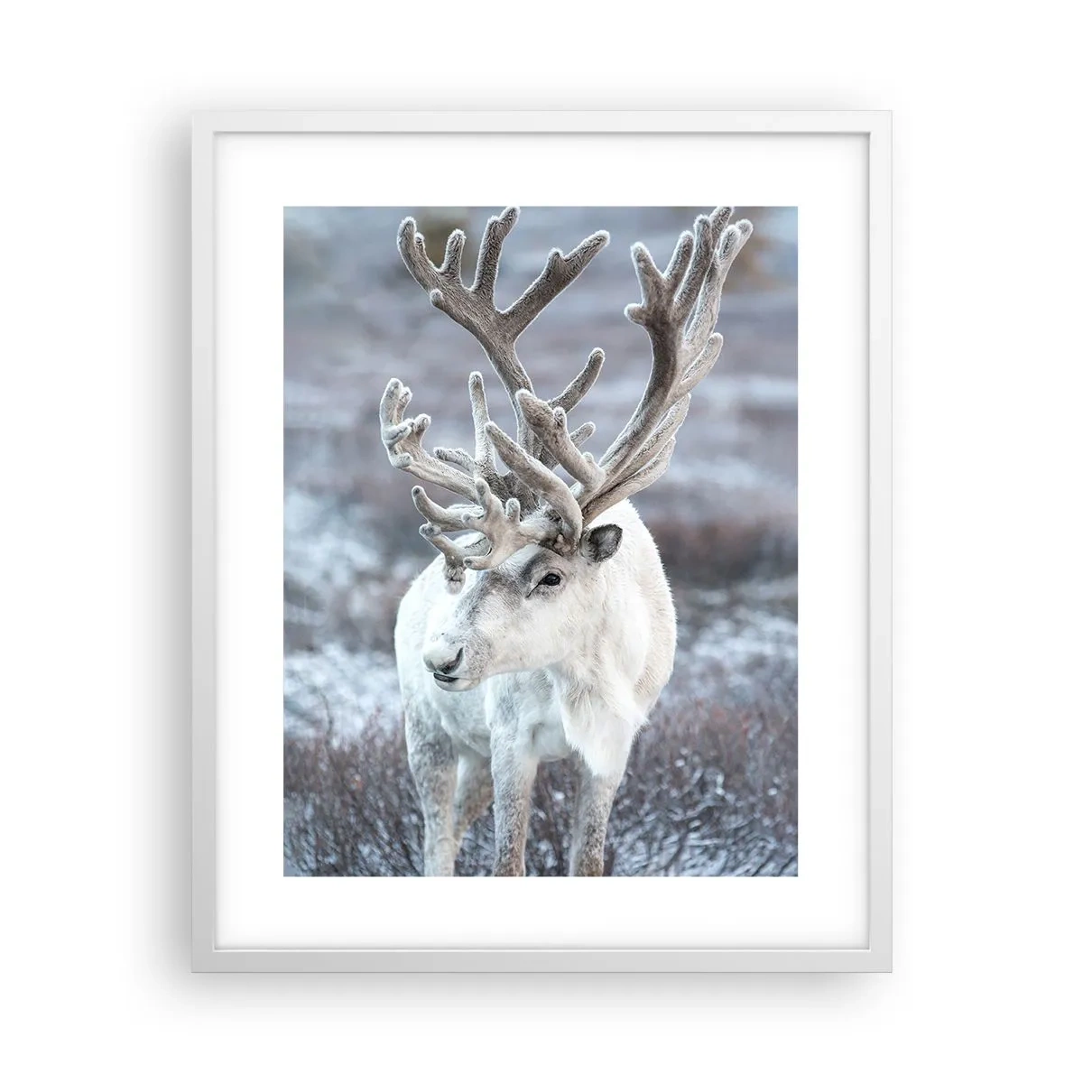 Affisch i vit ram - Porträtt i solsken - 40x50 cm