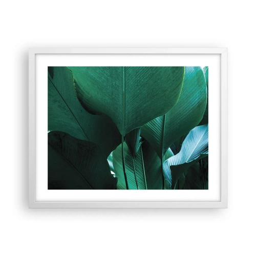 Affisch i vit ram - Vända mot ljuset - 50x40 cm