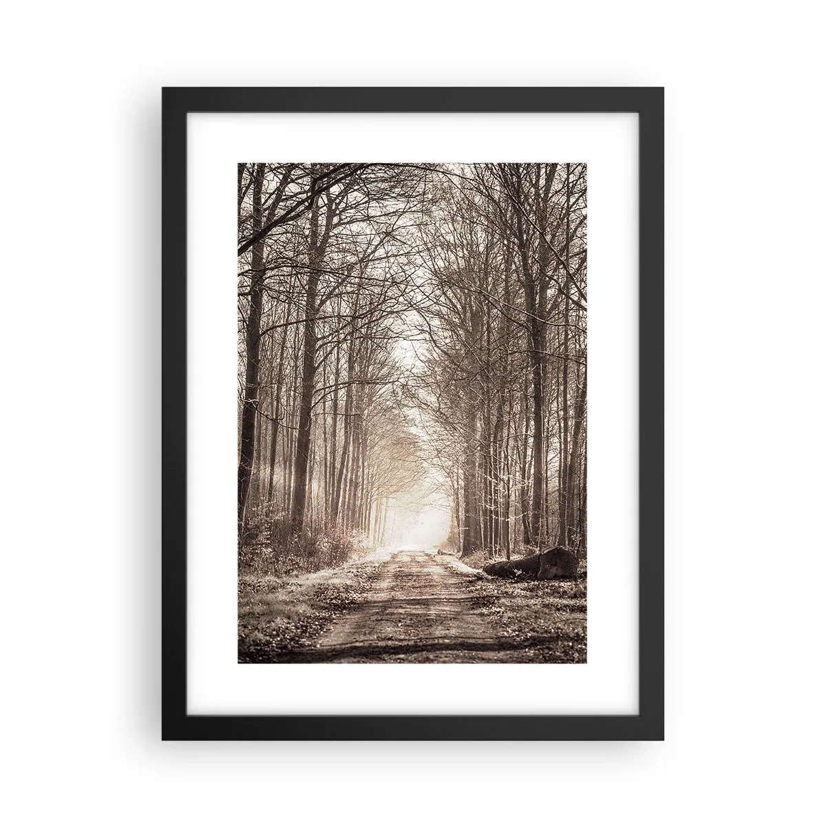 Affisch i svart ram - Skogens domkyrka - 30x40 cm