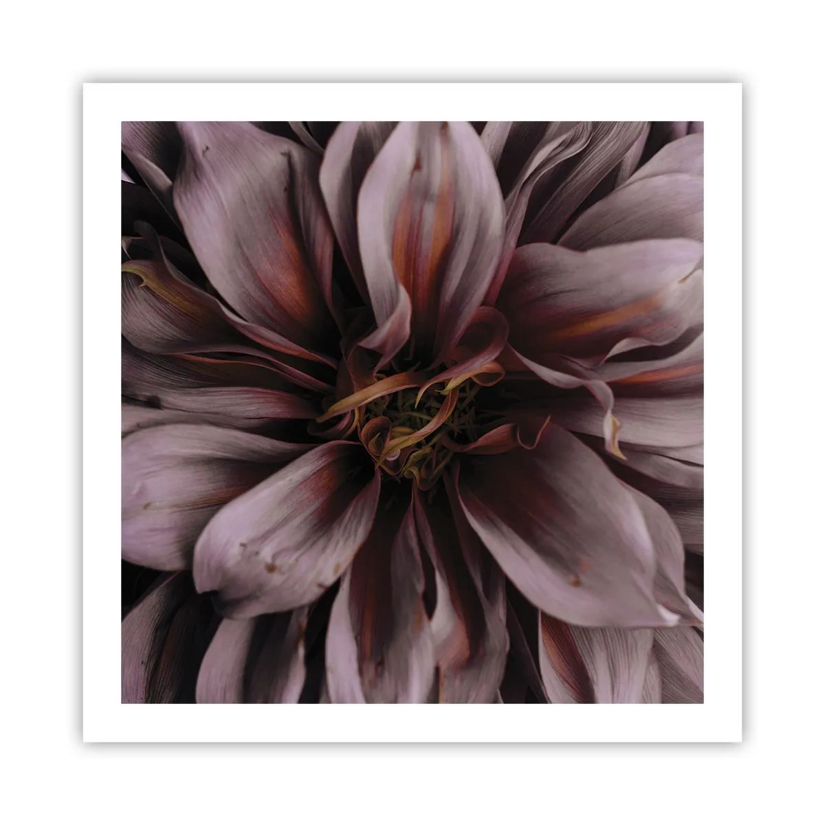 Affisch - Blommigt hjärta - 60x60 cm