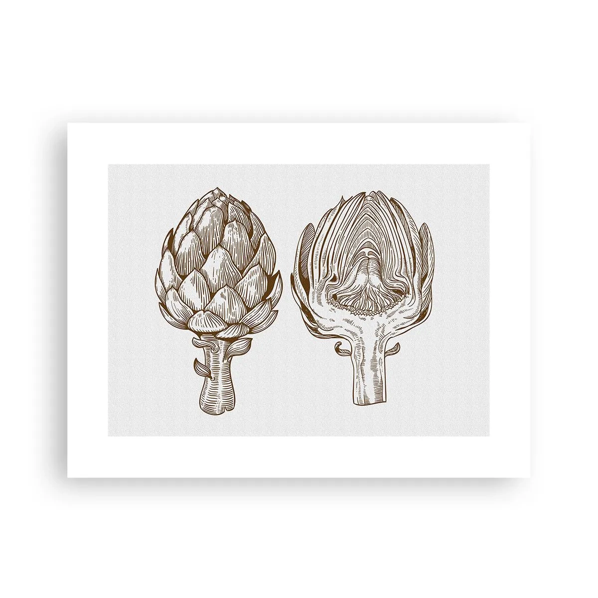 Affisch - Anatomilektion - 40x30 cm