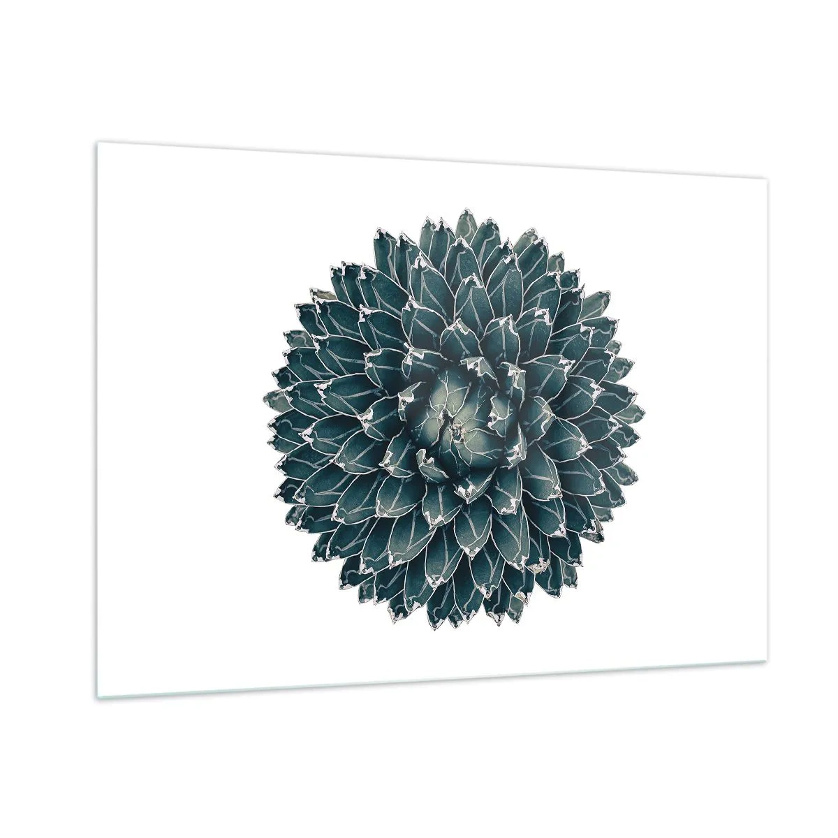 Glastavla - Bild på glas - Öknens stjärna - 100x70 cm
