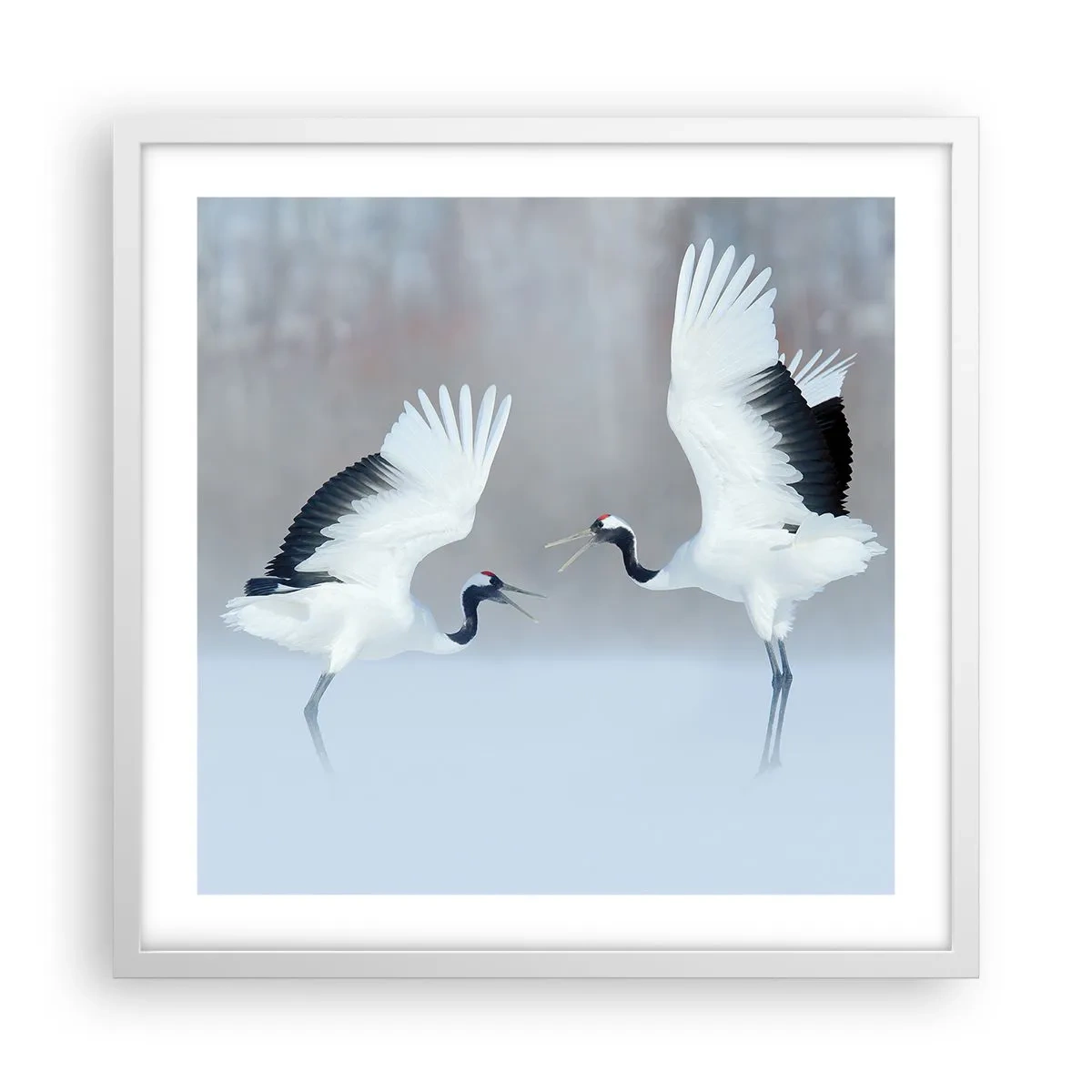 Affisch i vit ram - Dansen i dimman - 50x50 cm