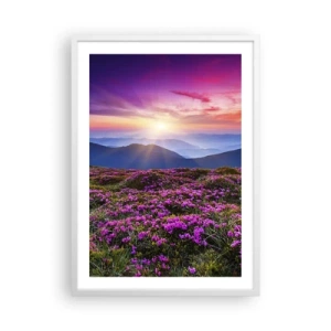 Affisch i vit ram - Doftande örter - 50x70 cm