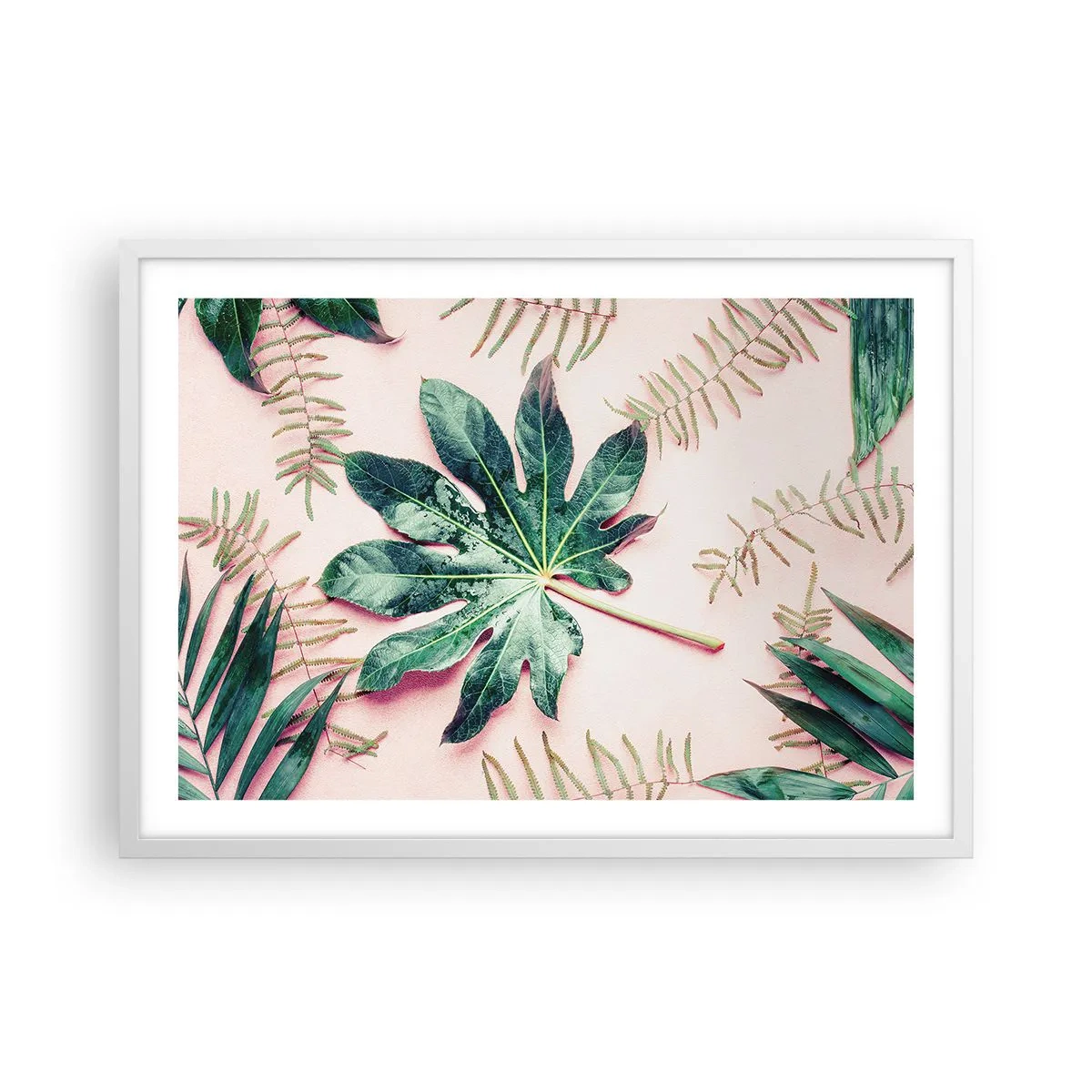 Affisch i vit ram - Grönskans studie mot rosa bakgrund - 70x50 cm