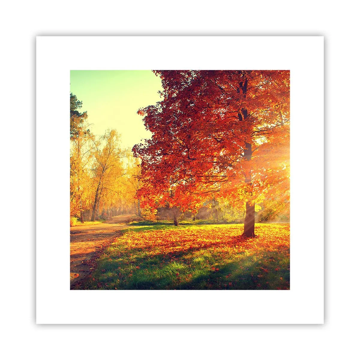 Affisch - Rött är vackert - 30x30 cm