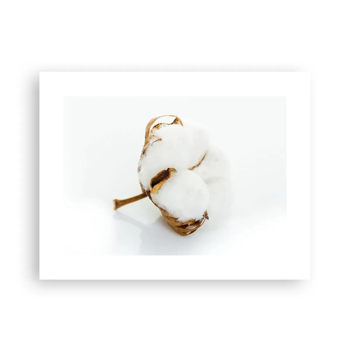 Affisch - Mjuk av naturen - 40x30 cm