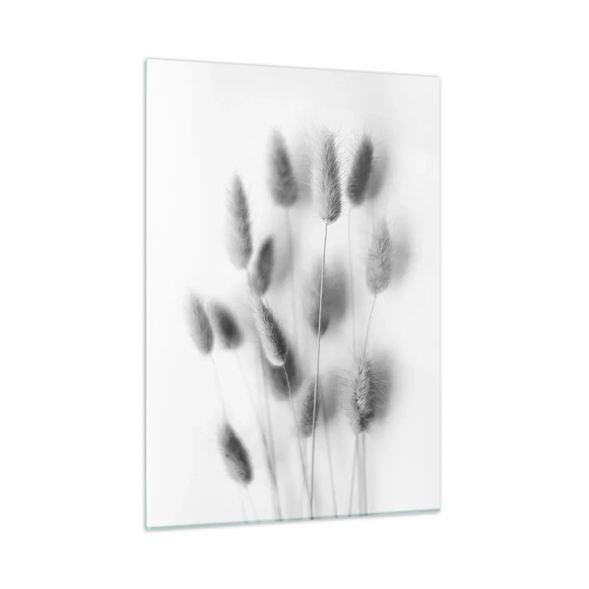 Glastavla - Bild på glas - Fluffigt gräs - 50x70 cm