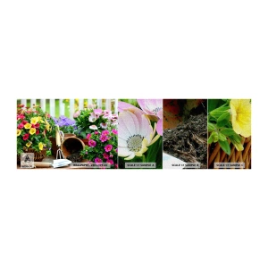 Provbit av fototapet Premium Canvas - Sofias lilla trädgård - Blommor, Trädgård, Blombukett - 100x30 cm