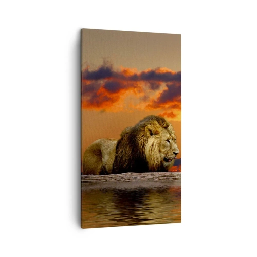 Canvastavla - Bild på duk - Naturens kung - 45x80 cm