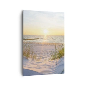 Canvastavla - Bild på duk - Havets brus, fågelsång, tom strand bland träden - 50x70 cm