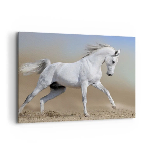 Canvastavla - Bild på duk - Den vackraste arabiska sagan - 100x70 cm