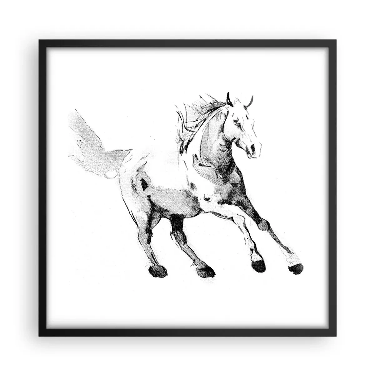 Affisch i svart ram - Obändig själ - 50x50 cm