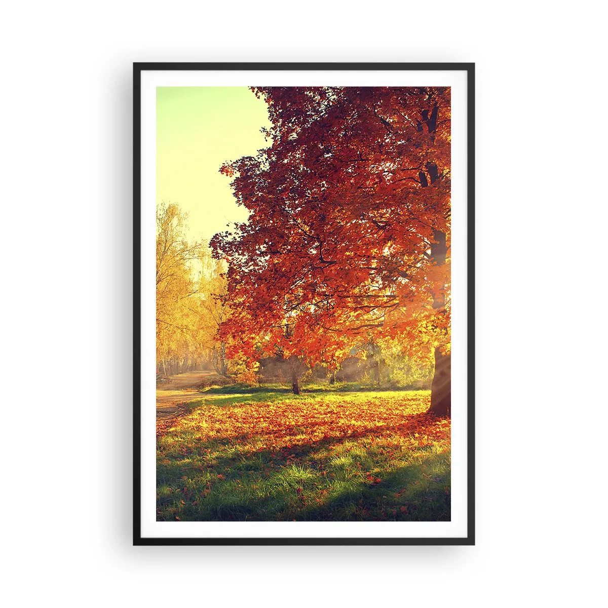 Affisch i svart ram - Rött är vackert - 70x100 cm