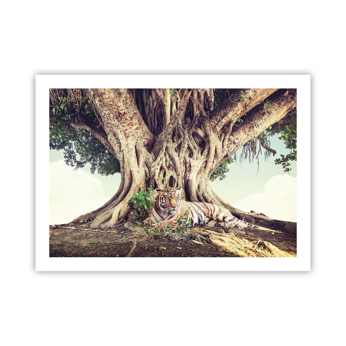 Affisch - Vi från Första Moseboken - 70x50 cm