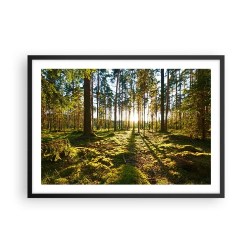 Affisch i svart ram - ...Bortom sjunde skogen - 70x50 cm