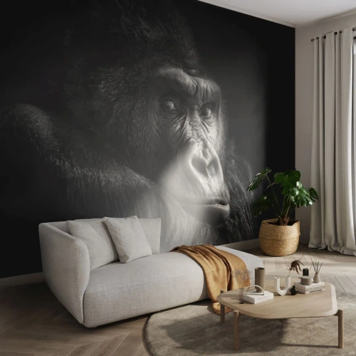 Självhäftande Fototapet Deluxe Sticker - Varför glor du? - Apa, Gorilla, Djur - 100x70 cm