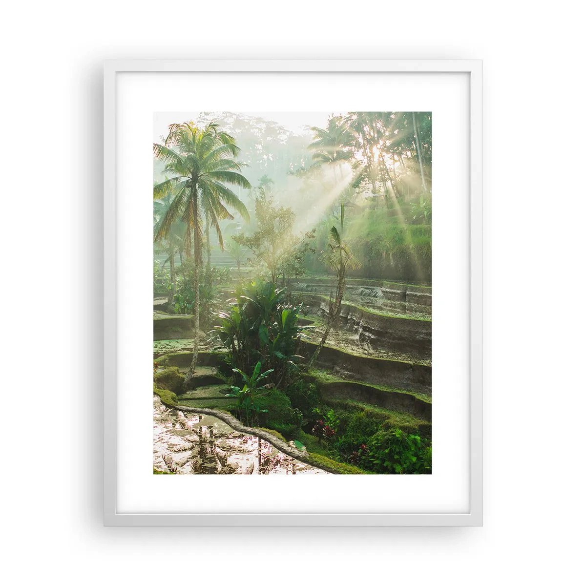 Affisch i vit ram - Växa upp i solsken - 40x50 cm