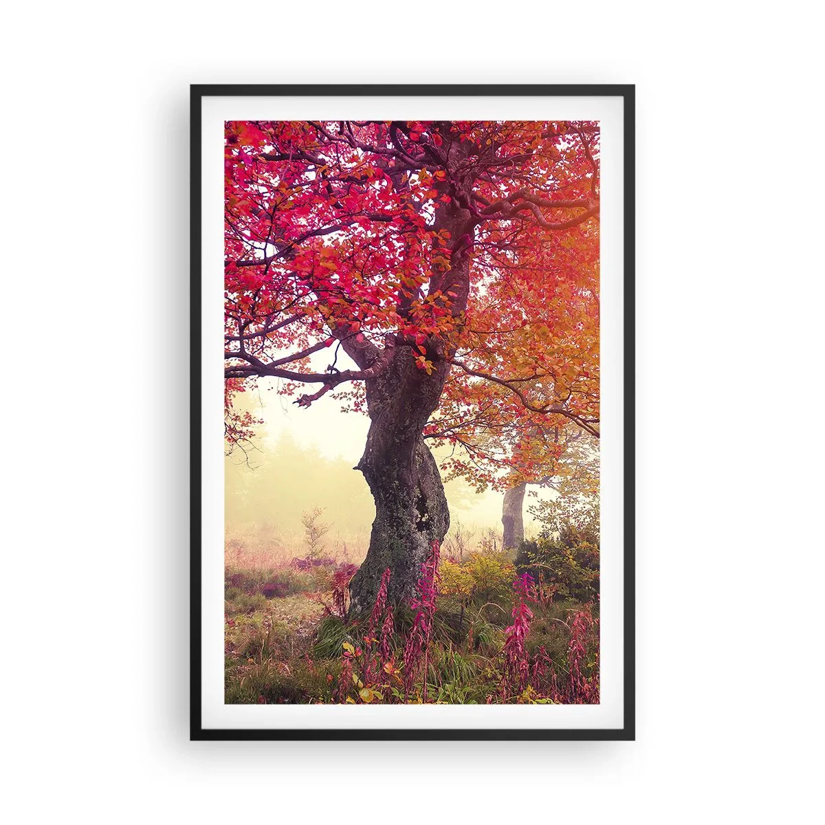 Affisch i svart ram - Våldsam blommande - 61x91 cm