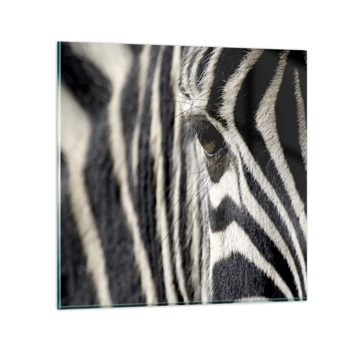 Glastavla - Bild på glas - Randig porträtt - 40x40 cm